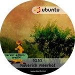 ubuntu_10.10_server_amd64